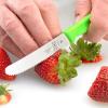 Mercer Culinary Bar Knife,Black, 4” Plain Edge, Pointed Tip(Green)