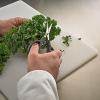 Mercer Culinary Herb Scissor with Blade Guard 7 5/8-Inch(Herb Snips 6.5 Inch)