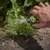 Mercer Culinary Herb Scissor with Blade Guard 7 5/8-Inch(Herb Snips 6.5 Inch)