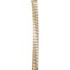 Barfly Bar Strainer, 18-8, Antique Copper(Gold)